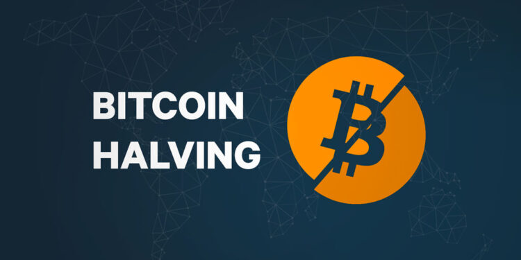 Will FOMO Or FUD Rule The Market?