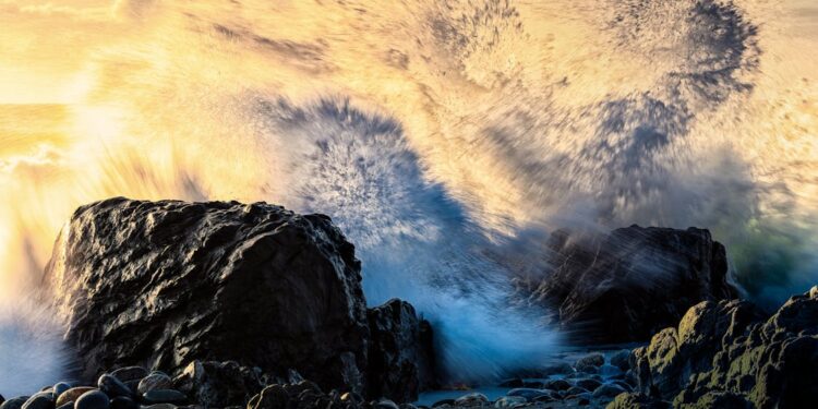 12 Projects Gone In 30 Days