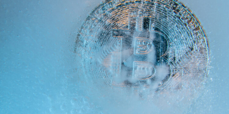 Expert Echoes Previous Halving Pattern