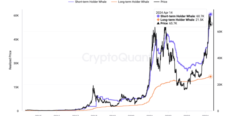Bitcoin Rebounds After Nearing Cost Basis Of Short-Term Whales