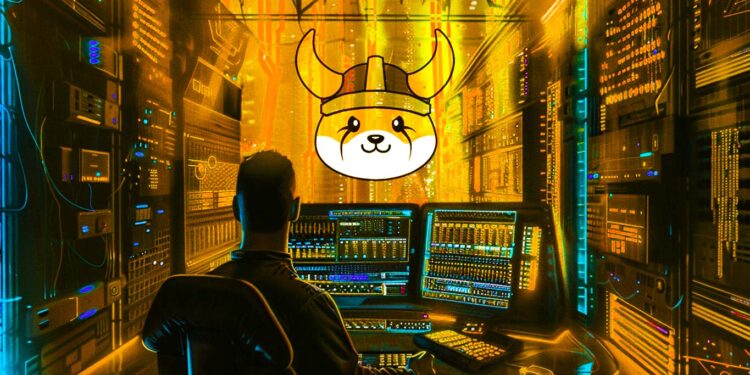 Over 12,000,000 Binance Pay Users Can Now Use Memecoin Floki To Spend on Goods and Services