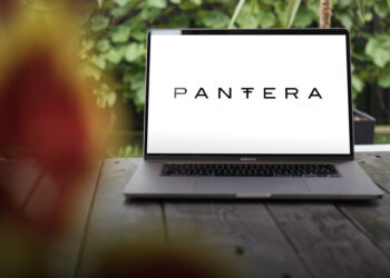 Pantera Capital Backs TON with Multi-Million Dollar Investment, Eyes Mainstream Crypto Adoption