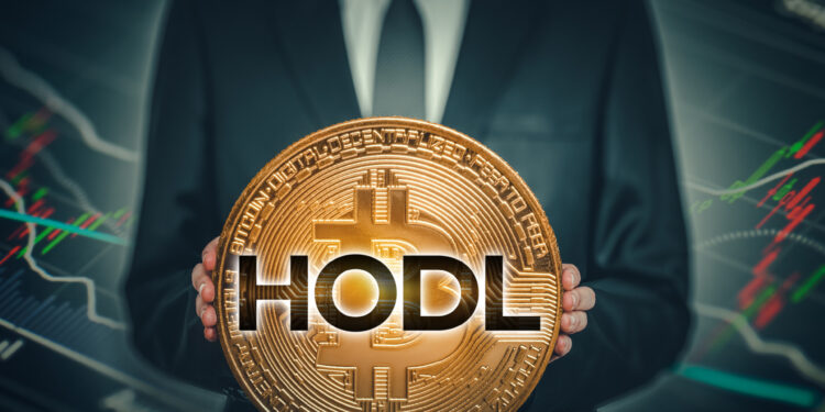 95% of Spot BTC ETF Investors Held Firm Through Market Correction