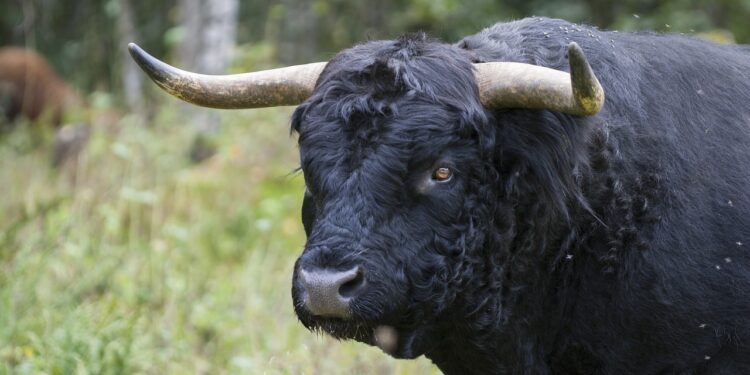 Is MATIC Poised For Takeoff? Key Area Breaks Records