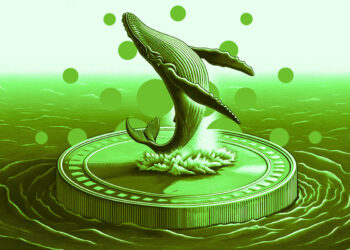 Cardano Whale Signal Historically Correlated With Price Reversals Flashes Green: Santiment