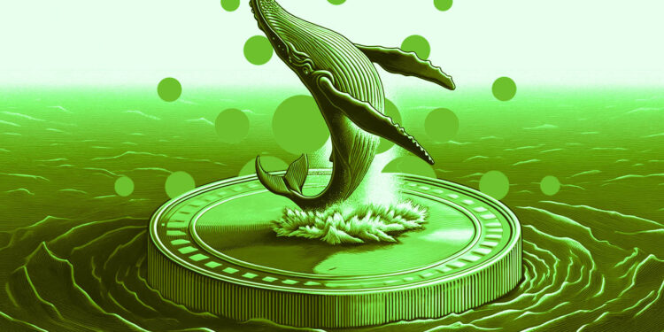 Cardano Whale Signal Historically Correlated With Price Reversals Flashes Green: Santiment
