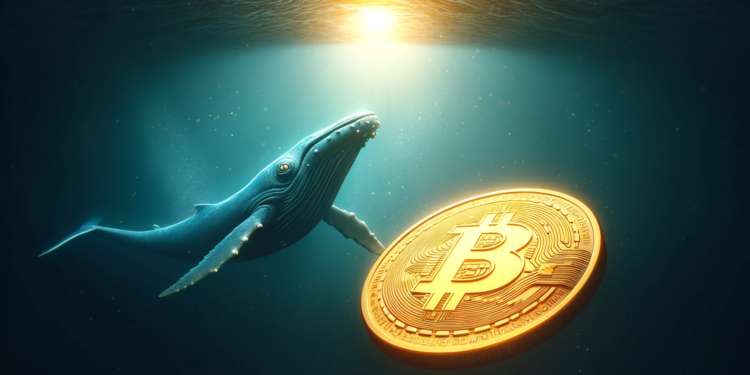 Whales Push Bitcoin Into Narrow Range: What To Expect Next