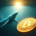 Whales Push Bitcoin Into Narrow Range: What To Expect Next