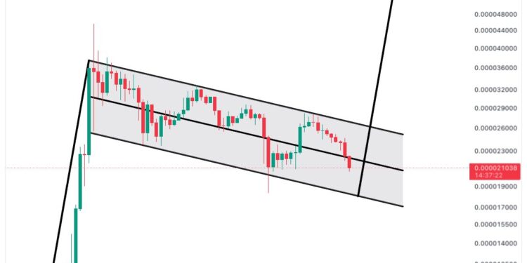Crypto Analyst Predicts 244% Shiba Inu Rally Based On Bull Flag