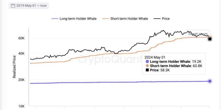 A Rare Opportunity To Buy?
