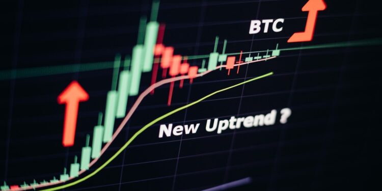 Crypto Expert Willy Woo Predicts Bitcoin Has Room To Run