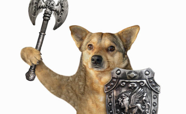 Floki Floats 22%, Aims For ‘World’s Most Used Crypto’ Title