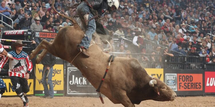 VeChain Bull Run Imminent — Expert