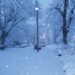 Solana Snowfall? Price Plunges Amidst Market Correction