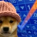 Why This Hedge Fund Bought Dogwifhat at 1 Cent: ‘It Had a Hat’