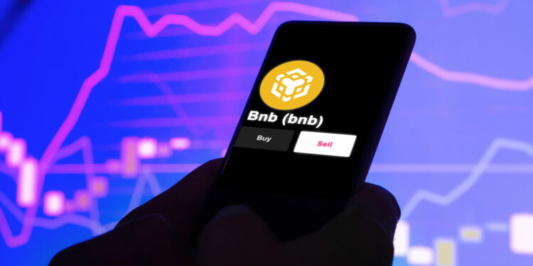 BNB Soars, Fuelling Speculation About an Imminent Altcoin Season