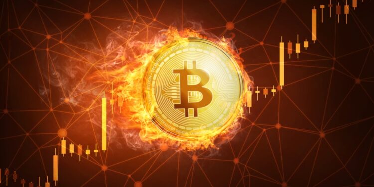 VeChain Foundation Releases Q1 2024 Treasury Report