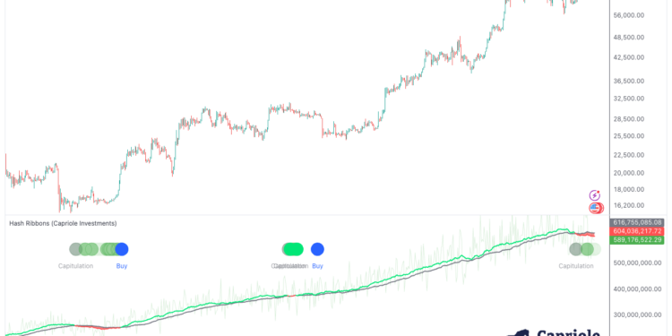 Best Long-Term Bitcoin Buy Signal Flashes: Hedge Fund CEO