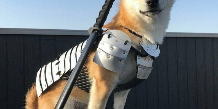 Social Media Sends Coin On 300% Rip