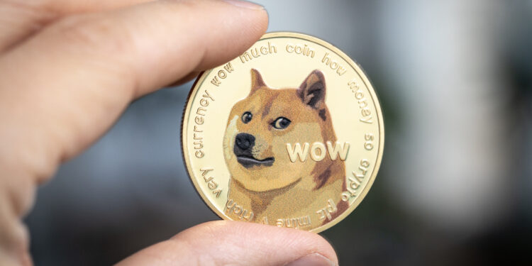 Dogecoin Plunges 11%, But This On-Chain Cushion Could End Decline