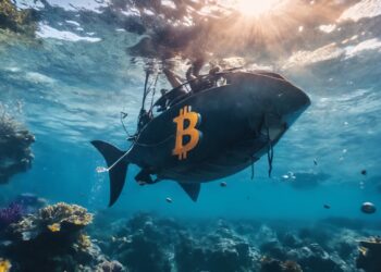 Over 2.8M BTC Held by Short-Term Investors Now Underwater After Recent Price Drop