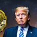 Donald Trump to Speak at Bitcoin 2024 Conference