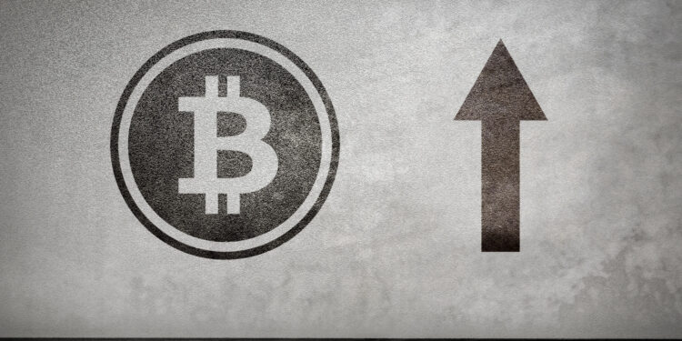 Analysts Discuss Bitcoin’s Surge Past $68K, Fuelling Social Commentary and Short-Term Holder Gains