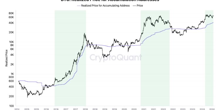 Bitcoin Bull Cycle Likely To Go On Till Mid-2025: CryptoQuant CEO