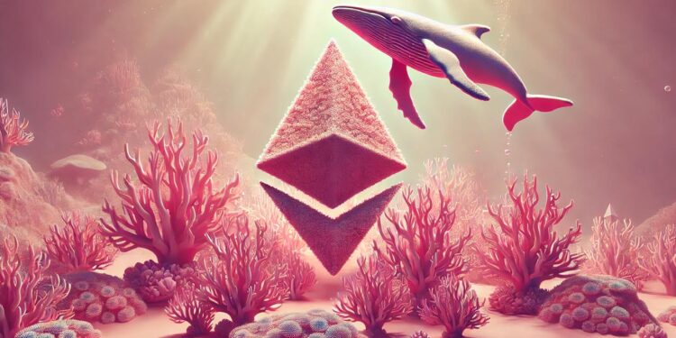 Whale Withdraws More Than $206,000,000 in Ethereum (ETH) From Bitfinex: On-Chain Data