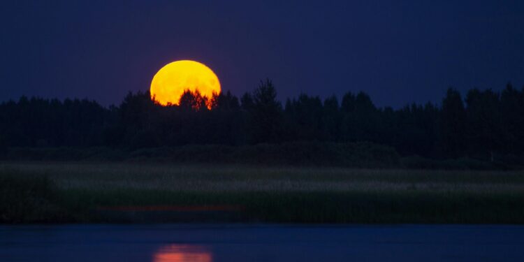 Terra Classic Poised For 280% Rally