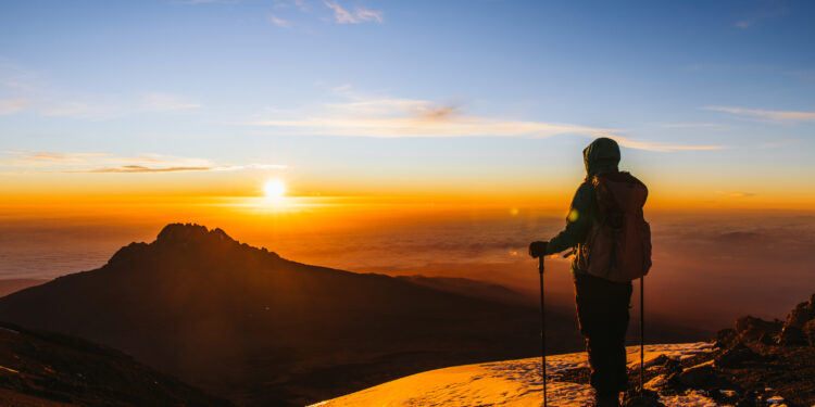 Expert Predicts When Bitcoin Price Will Reach Its Cycle Highs