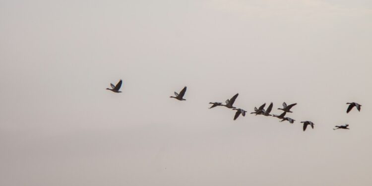 Polygon Announces Date For MATIC To POL Token Upgrade