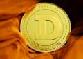 Dogecoin Ready For $0.3? Analysts Bullish Price Breakout Attempt
