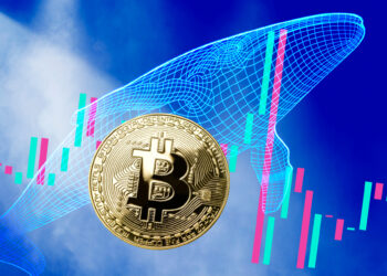 Data Reveals 75% of Bitcoin Hasn’t Moved as Whales Accumulate More BTC