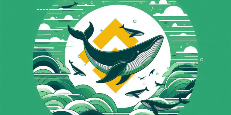 Crypto Whale Sends $24,000,000 to Binance To Take Loss on Ethereum (ETH): Lookonchain