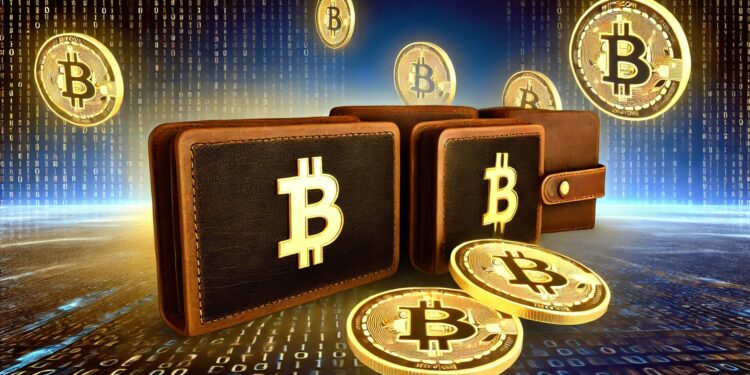 Private Investors Kicked Out Of Top Bitcoin Holder List, Here Are The Stats