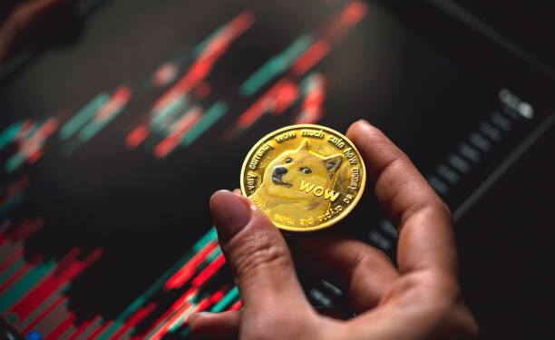 Dogecoin Major Metrics Fire Bullish Signals, Can Price Cross $0.5