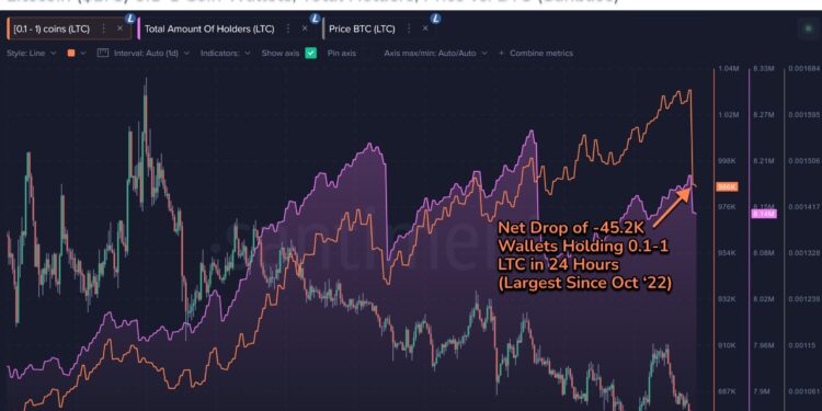 Litecoin Sees Sudden Exodus Of Retail Investors: Why This Can Be Bullish