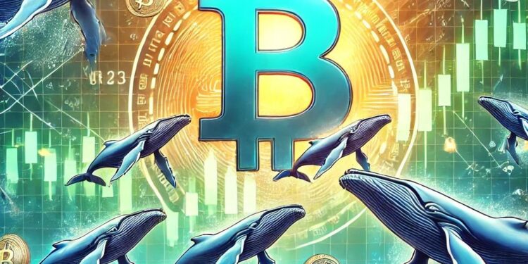 Bitcoin Whales Take Profit After Latest Price Jump — Here’s How Much They Sold