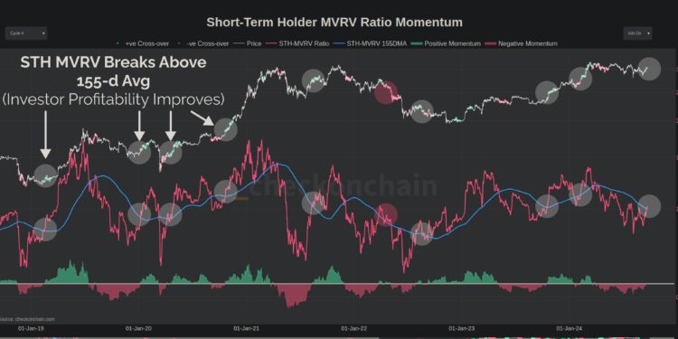 Bitcoin MVRV Ratio Is At A Critical Retest: Can Bulls Triumph?