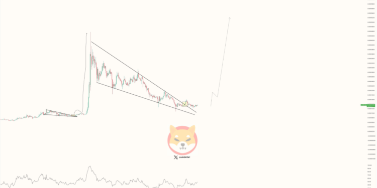 Shiba Inu Eyes Explosive 430% Climb As Momentum Builds —Analyst