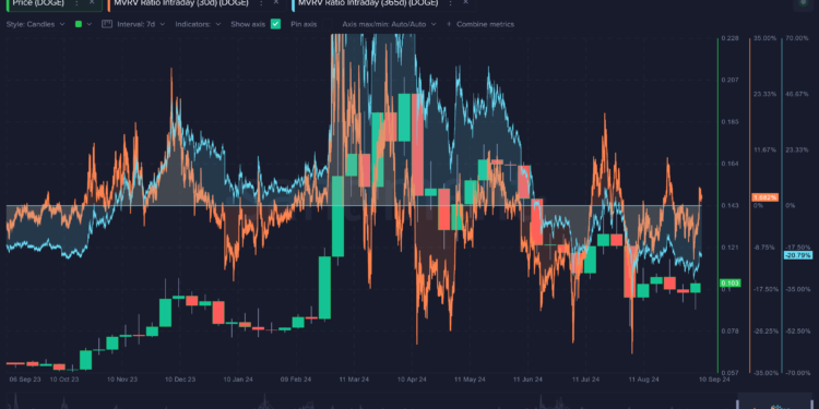 How Do The Top Memecoins Compare In Investor Profits?