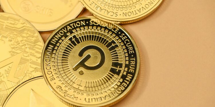 Will Polkadot Accept This Major Request From A RWA Platform? DOT Down 65%