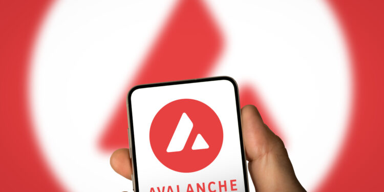 Avalanche Foundation Launches New Visa Card for Seamless Crypto Spending