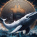 Early Bitcoin Whale Moves $3.58M to Kraken; Wallet Active After Decade of Dormancy