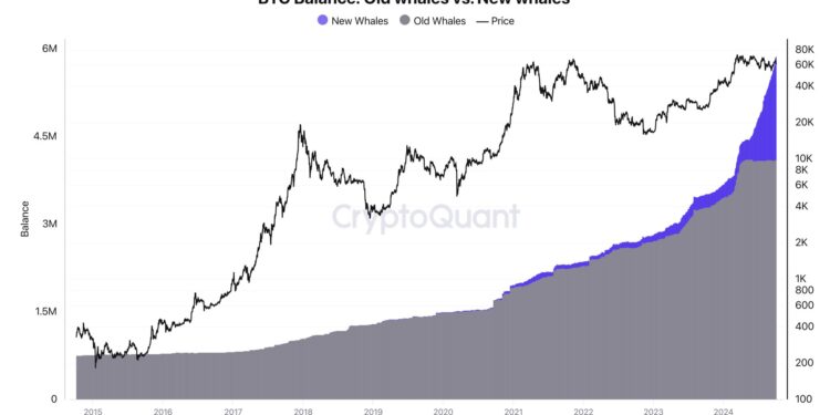 7 Reasons To Be Bullish On Bitcoin This Week