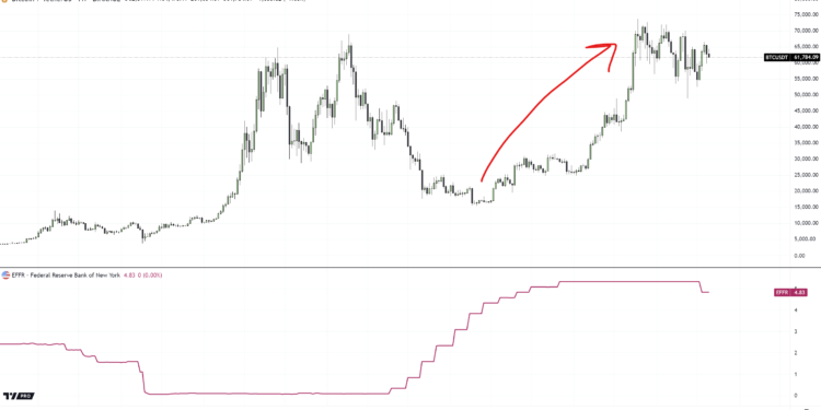 Why Is Bitcoin Price Stagnating? Investment Firm CEO Answers