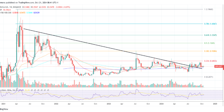 Ripple At A Critical Juncture Like Amazon In 1997: Investment Pro
