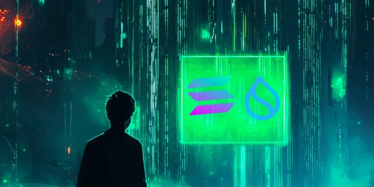 Top Crypto Trader Says Large-Cap Memecoin ‘Still Turbo Strong,’ Updates Outlook on Solana and Sui