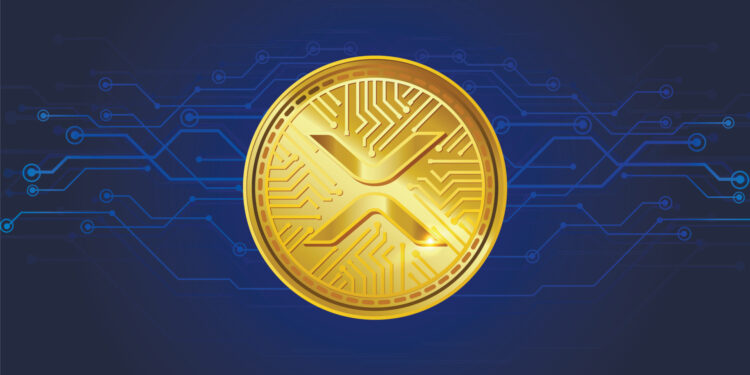 XRP Wobbles as Ripple CEO Questions Trump’s Potential SEC Chair Pick